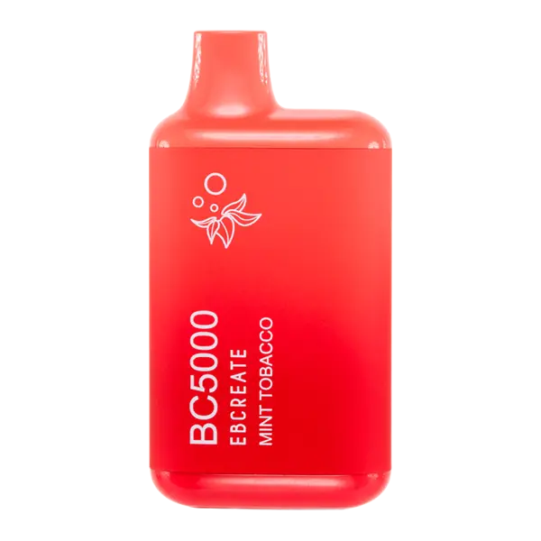 BUY 1 GET 1 FREE Mint Tobacco BC5000 | Vape Amazon India