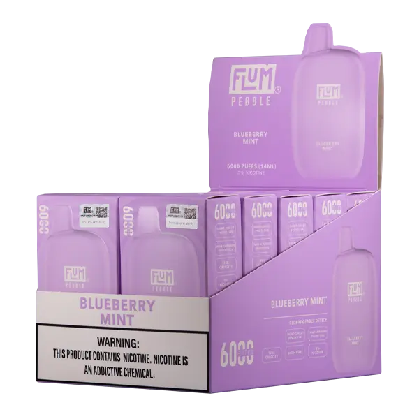 BUY 1 GET 1 FREE Blueberry Mint FLUM Pebble | Vape Amazon India Flum