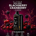 Peach Lychee Blackcurrant - Elf Bar Raya SOBO