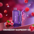 IGET FLARE B10000 disposable vape - Cranberry Raspberry Ice flavour